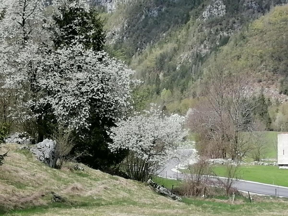 Pocitnisko Stanovanje Planja Soča Exterior foto